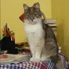 Отзыв от Галина Мещерякова